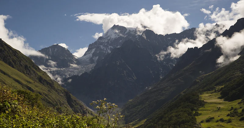 Almora Nainital Tour